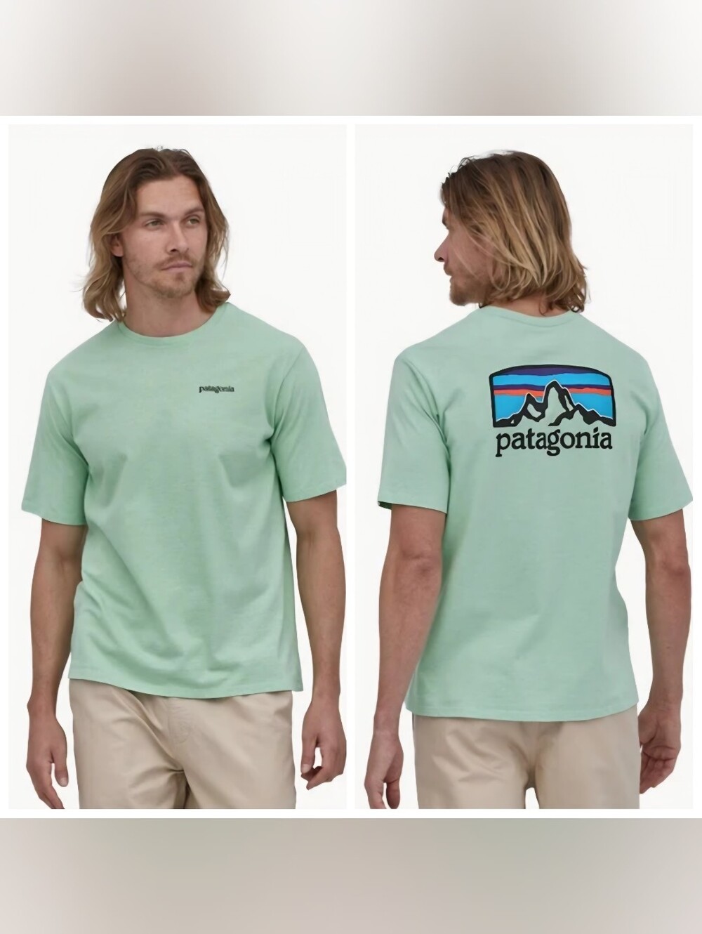 Patagonia Men's Responsibili-Tee Graphic T-Shirt STY39045SP18